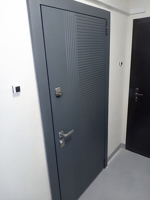 Квартирная стальная дверь