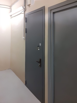 Техническая дверь для подсобки (Бородино) Техническая дверь для подсобки (Бородино)